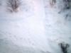 <img100*0:stuff/z/169023/Winter%252c%2520Snow%252c%2520Sky%2520%2526%2520Scenery/i1263422910_14.jpg>