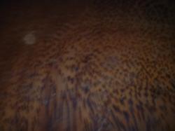 <img250*0:stuff/z/169023/Wooden%2520Bowls/i1255994901_20.jpg>