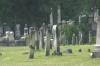 <img100*0:stuff/z/169023/anothercem/i1280428483_3.jpg>