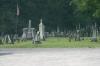 <img100*0:stuff/z/169023/anothercem/i1280428483_5.jpg>