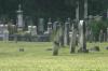 <img100*0:stuff/z/169023/anothercem/i1280428484_19.jpg>