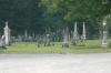<img100*0:stuff/z/169023/anothercem/i1280428484_21.jpg>