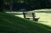 <img100*0:stuff/z/169023/bench/i1279841123_22.jpg>