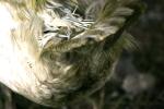 <img150*0:stuff/z/169023/bnb2/i1280429792_4.jpg>