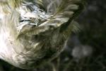 <img150*0:stuff/z/169023/bnb2/i1280429793_10.jpg>