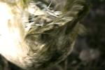 <img150*0:stuff/z/169023/bnb2/i1280429793_16.jpg>