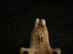 <img250*0:stuff/z/169023/bonesss/i1255989005_26.jpg>