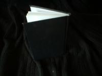 <img200*0:stuff/z/169023/bookbinding/i1252776173_4.jpg>