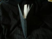 <img200*0:stuff/z/169023/bookbinding/i1252776174_12.jpg>