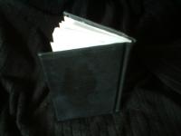 <img200*0:stuff/z/169023/bookbinding/i1252776174_18.jpg>