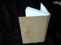 <img200*0:stuff/z/169023/bookbinding/i1252776174_8.jpg>