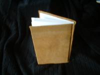 <img200*0:stuff/z/169023/bookbinding/i1252776175_32.jpg>