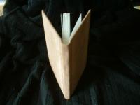 <img200*0:stuff/z/169023/bookbinding/i1252776175_33.jpg>