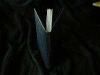 <img200*0:stuff/z/169023/bookbinding/i1252776175_35.jpg>
