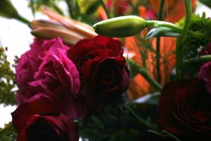 <img300*0:stuff/z/169023/bouquet%2520.1/i1276202926_1.jpg>