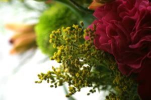 <img300*0:stuff/z/169023/bouquet%2520.1/i1276202926_12.jpg>