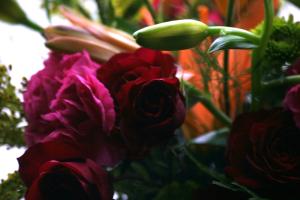 <img300*0:stuff/z/169023/bouquet%2520.1/i1276202926_13.jpg>