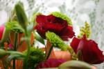 <img:stuff/z/169023/bouquet%2520.1/i1276202926_14.jpg?y=100>