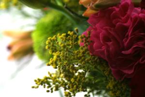 <img300*0:stuff/z/169023/bouquet%2520.1/i1276202926_17.jpg>