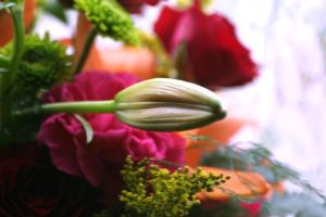 <img300*0:stuff/z/169023/bouquet%2520.1/i1276202926_18.jpg>