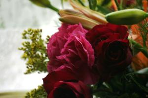 <img300*0:stuff/z/169023/bouquet%2520.1/i1276202926_19.jpg>