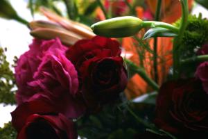 <img300*0:stuff/z/169023/bouquet%2520.1/i1276202926_2.jpg>