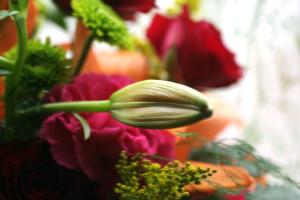 <img300*0:stuff/z/169023/bouquet%2520.1/i1276202926_23.jpg>