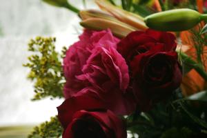 <img300*0:stuff/z/169023/bouquet%2520.1/i1276202926_24.jpg>