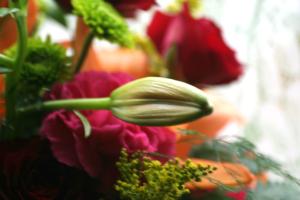 <img300*0:stuff/z/169023/bouquet%2520.1/i1276202926_28.jpg>
