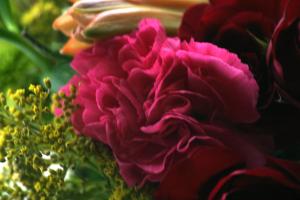 <img300*0:stuff/z/169023/bouquet%2520.1/i1276202926_31.jpg>