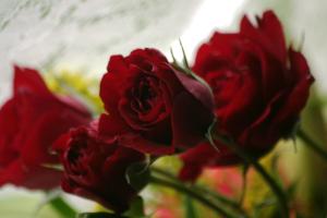 <img300*0:stuff/z/169023/bouquet%2520.1/i1276202926_32.jpg>