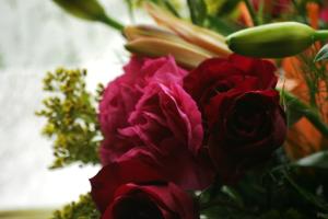 <img300*0:stuff/z/169023/bouquet%2520.1/i1276202926_34.jpg>