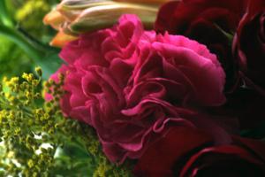 <img300*0:stuff/z/169023/bouquet%2520.1/i1276202926_36.jpg>
