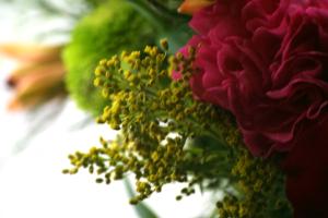 <img300*0:stuff/z/169023/bouquet%2520.1/i1276202926_6.jpg>