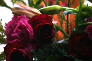 <img300*0:stuff/z/169023/bouquet%2520.1/i1276202926_8.jpg>