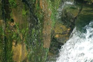 <img300*0:stuff/z/169023/chittenango%2520falls%25202/i1248734861_6.jpg>