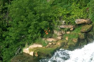 <img300*0:stuff/z/169023/chittenango%2520falls%25202/i1248734861_9.jpg>