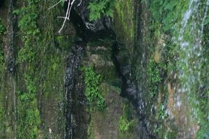 <img300*0:stuff/z/169023/chittenango%2520falls%25202/i1248734862_11.jpg>
