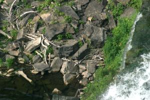 <img300*0:stuff/z/169023/chittenango%2520falls%25202/i1248734862_13.jpg>