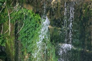 <img300*0:stuff/z/169023/chittenango%2520falls%25202/i1248734862_17.jpg>