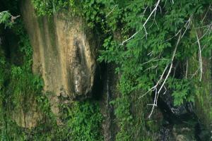 <img300*0:stuff/z/169023/chittenango%2520falls%25202/i1248734862_18.jpg>