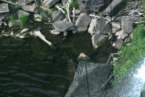 <img300*0:stuff/z/169023/chittenango%2520falls%25202/i1248734862_19.jpg>