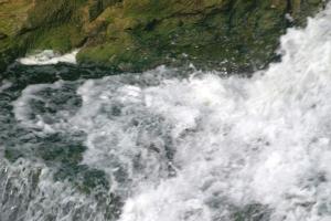 <img300*0:stuff/z/169023/chittenango%2520falls%25202/i1248734863_21.jpg>