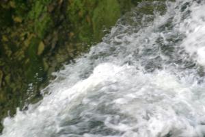 <img300*0:stuff/z/169023/chittenango%2520falls%25202/i1248734863_22.jpg>