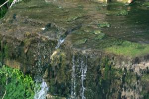 <img300*0:stuff/z/169023/chittenango%2520falls%25202/i1248734863_23.jpg>