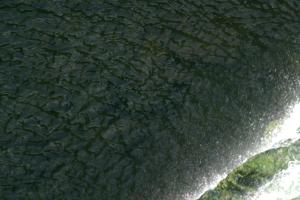<img300*0:stuff/z/169023/chittenango%2520falls%25202/i1248734863_25.jpg>