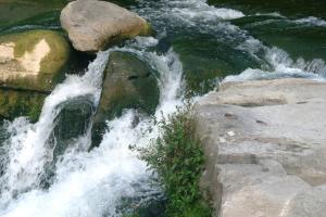 <img300*0:stuff/z/169023/chittenango%2520falls%25202/i1248734863_26.jpg>