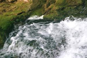 <img300*0:stuff/z/169023/chittenango%2520falls%25202/i1248734863_27.jpg>