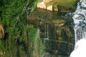 <img300*0:stuff/z/169023/chittenango%2520falls%25202/i1248734863_29.jpg>