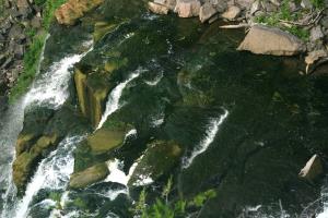 <img300*0:stuff/z/169023/chittenango%2520falls%25202/i1248734863_30.jpg>